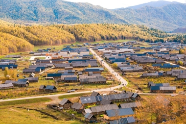 新疆禾木鄉(xiāng)樺樹林秋色