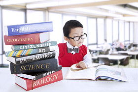 男孩研究文学书籍图书馆图片