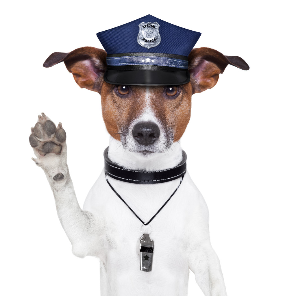 警犬图片