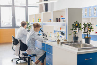 生物实验室的科学家们图片