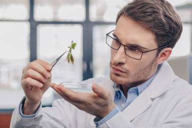 生物學家看廠在鑷子