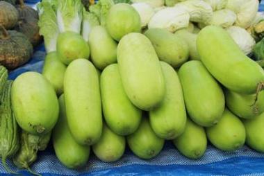 冬瓜烹飪?cè)谑袌?chǎng)照片