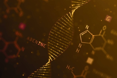 摘要 Dna 化學公式背景。化學概念。3d 渲染