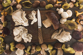 不同类型的蘑菇在砧板上