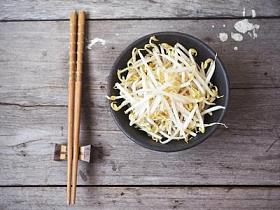 关门的豆芽
