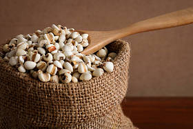 薏米在麻袋上仿古木背景