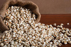 薏米在麻袋上仿古木背景