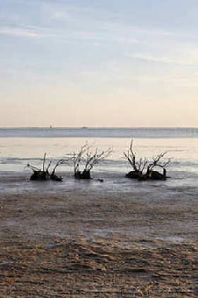 在希腊 Evros 河的景