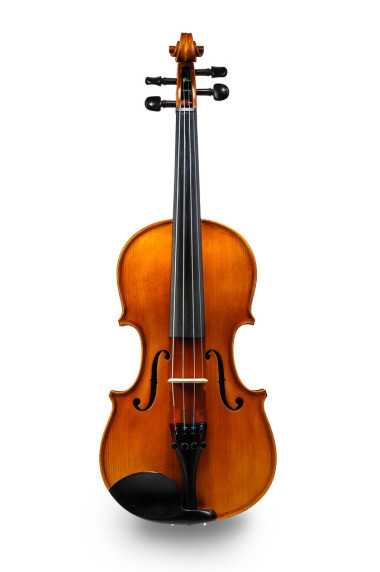 孤立在白色的小提琴圖片