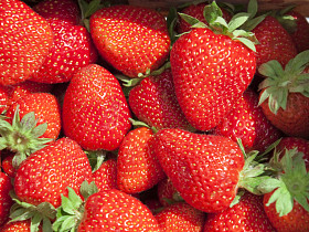 草莓图片