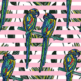 无缝模式与鹦鹉.图片