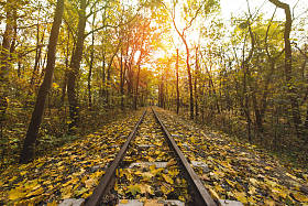 铁路在秋天的树林