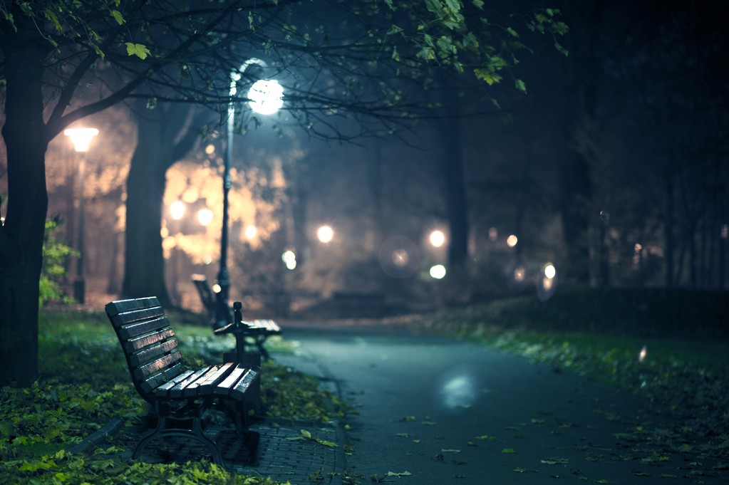 在公园里的一夜 在公园里的一夜