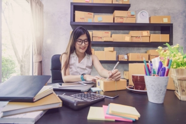 商務(wù)女人在家工作
