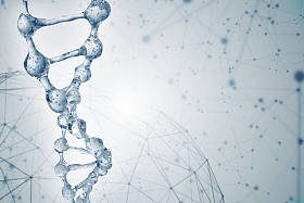 水从 Dna 分子模型三维图