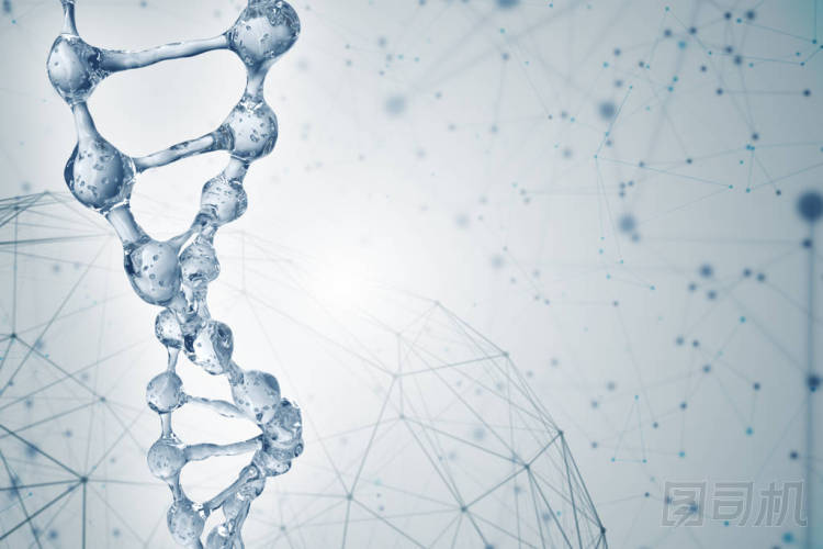 水從 Dna 分子模型三維圖