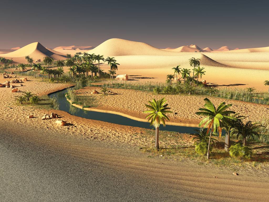 美丽的自然背景-非洲绿洲 3d 渲染