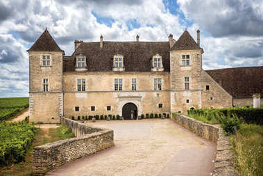 酒莊葡萄園, 勃艮第, 法國