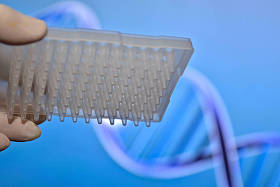 在医学遗传学实验室.图片