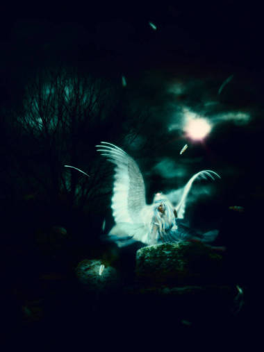 黑暗中的孤天使圖片