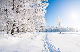 冬季下雪公园