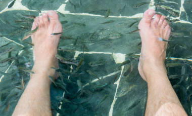 魚與魚聯(lián)陣的水療修腳健康皮膚護(hù)理治療