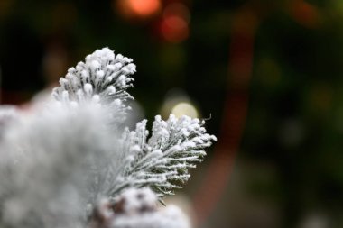 冬季假期背景的松果粉與人工雪和白色的絨毛披肩。圣誕快樂棕色背景