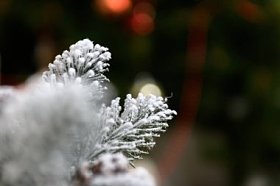 冬季假期背景的松果粉与人工雪和白色的绒毛披肩。圣诞快乐棕色背景