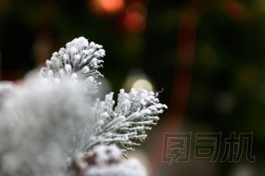 冬季假期背景的松果粉與人工雪和白色的絨毛披肩。圣誕快樂棕色背景