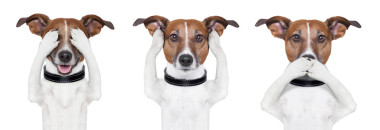 看到?jīng)]有邪惡，聽(tīng)到?jīng)]有邪惡，說(shuō)話沒(méi)有邪惡