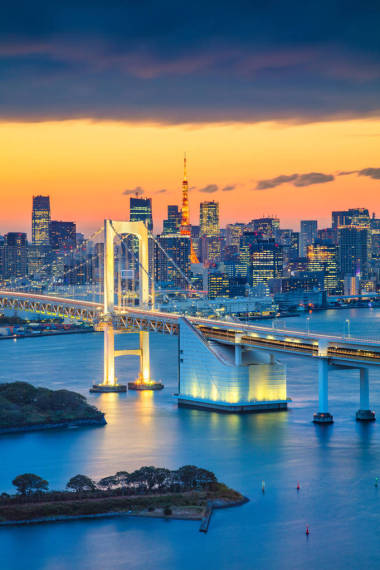 在東京彩虹橋.圖片