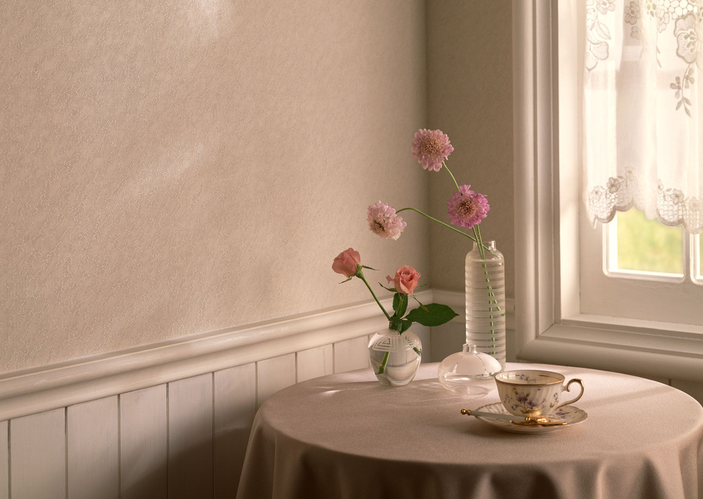 室内生活设计 室内生活设计