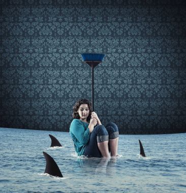 鲨鱼在房子里图片