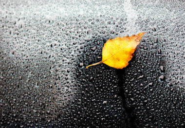 黃色秋天葉子在濕汽車玻璃