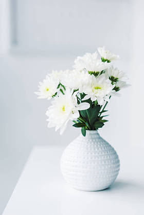F.花