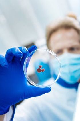 确定的科学家观察血液样