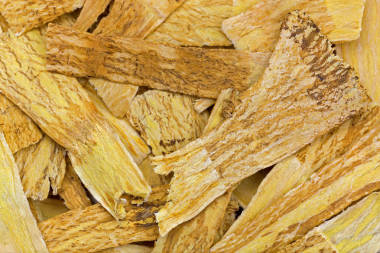 干蒙古黄芪, 称为黄 q, 用于中药