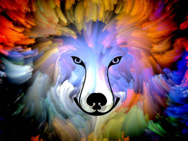 虛擬化涂料圖片