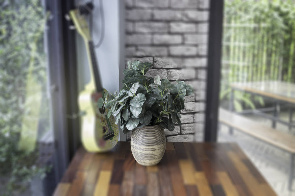 盆栽最小绿色植物照片