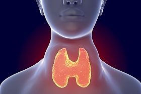 毒性弥漫性甲状腺肿, 甲状腺机能亢进