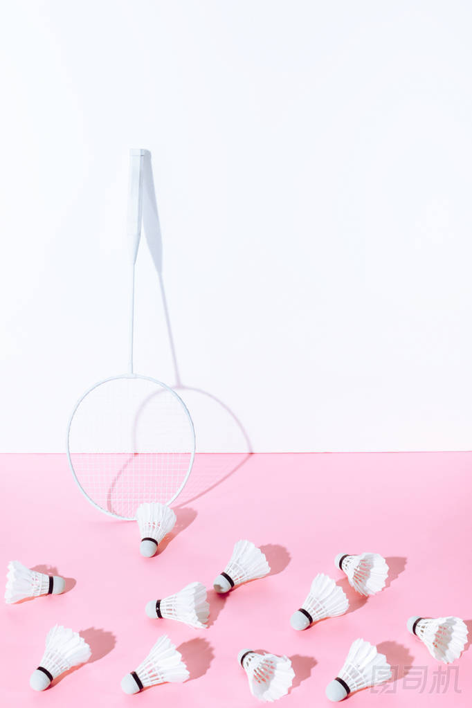 白色羽毛球拍和羽毛球在粉紅色紙?jiān)趬?>
            </div>
        </div>
    </div>
        <div   id=