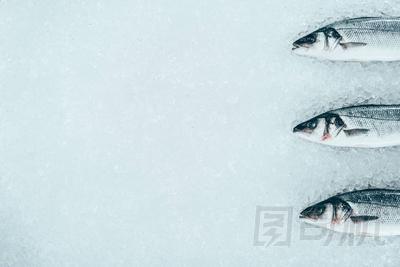 冰上生健康天然魚(yú)的鳥(niǎo)瞰圖照片