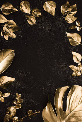 黑色表面不同金叶集的顶部视图