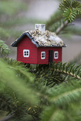 枞树上的房子微型.照片