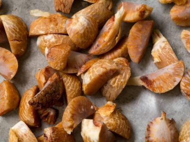 檳榔兒茶切特寫