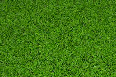 高分辨率綠草背景