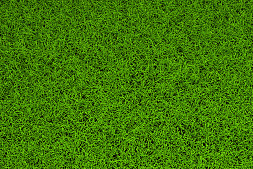 高分辨率绿草背景
