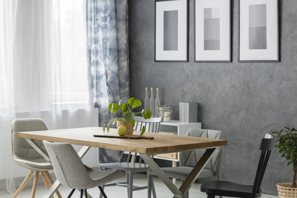 在舒适的餐厅里种植图片