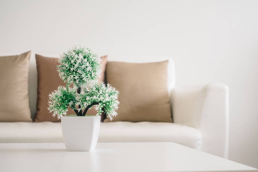 桌上的花瓶植物