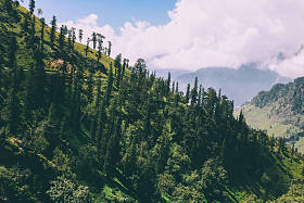 美丽的树木生长在风景秀丽的山脉, 印度喜马拉雅, 唐山口